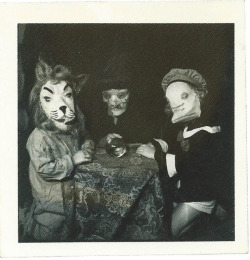 damsellover:  Vintage Halloween