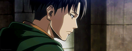 tatakaeeren: Levi’s Beautiful profile | appreciation post ღゝ◡╹)ノ♡