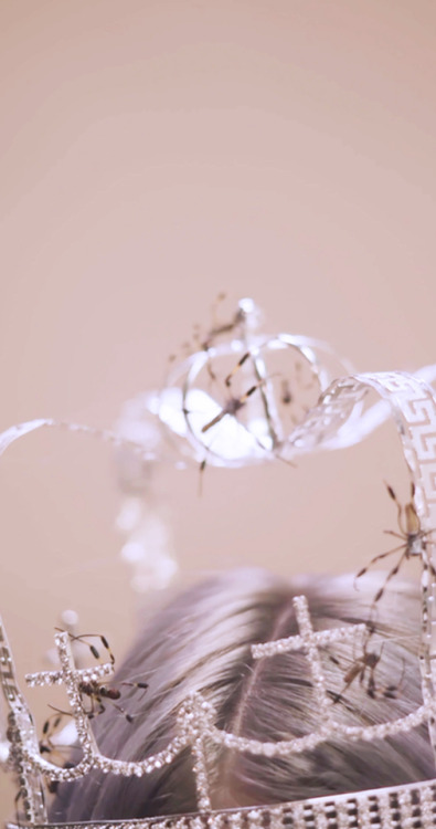 tokyonightlight: You should see me in a crown.