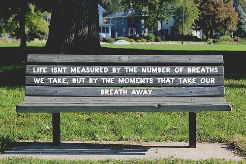 silly-luv:  ♡ find your best posts on my blog ♡