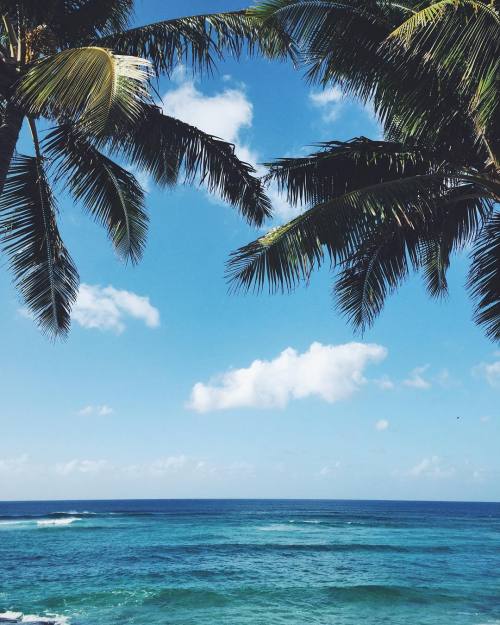 oceaian:  t r o p i c a l