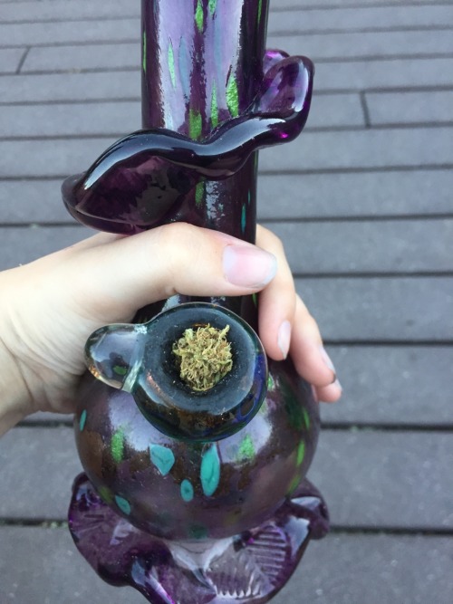 oregonja:  The Octonaut.