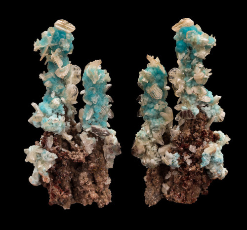 hematitehearts:Hemimorphite, Cerrusite &amp; WillemiteLocality: M'Fouati, Brazzaville, CongoSize: 7.