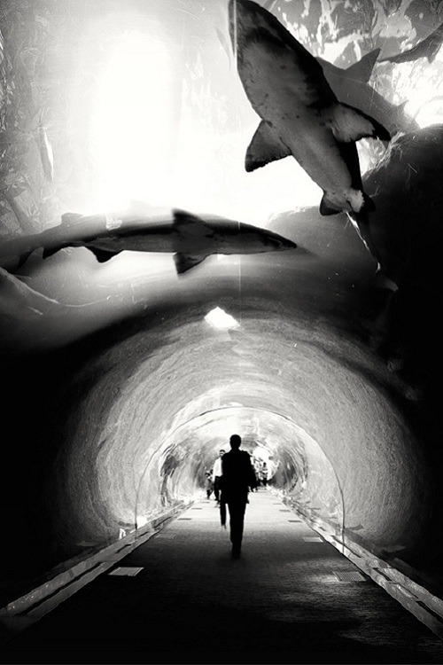 cocconutpassion:  (via TumbleOn) 