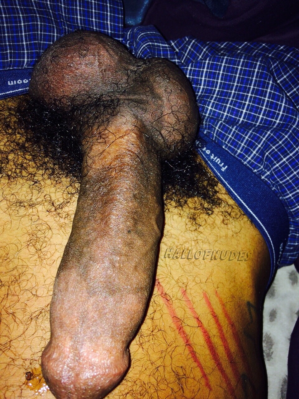 black-dicks-r-us:  www.BlackM4M.com  FIND BLACK GAY SEX  Over 500,000 Black Gay Profiles