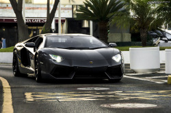 automotivated:  _DSC0290 (by CokiFotografia)