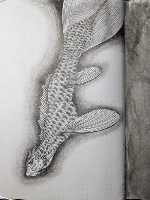 After A Little Kreative Slump I Filled Another Page In My Drawing Book. The New Pencils With Matte Effect