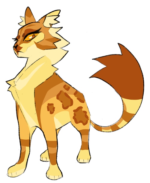 Some More Leader Designs Aughhh
