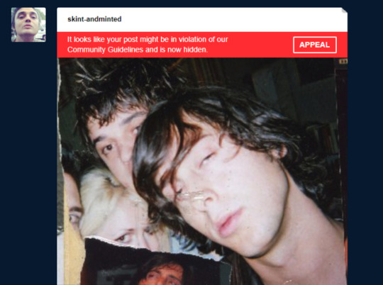 Tumblr media