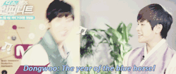 oh-sehun-please:  dongwoo is so excited for the year of the horse ~ 