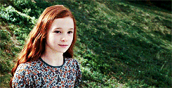 Harry Potter Daily