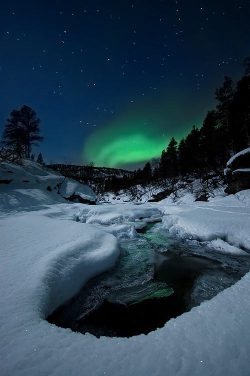 Aurora borealis @siren_of_nyx nude pics
