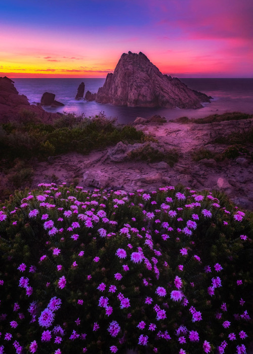 coiour-my-world:  Sugarloaf Sunset | Cape Naturaliste, Western Australia || paulmp