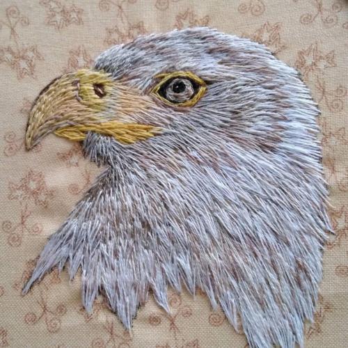 Hand-embroidered Bald EagleEtsy: @beebordandoInstagram: @beebordadodon’t delete the caption