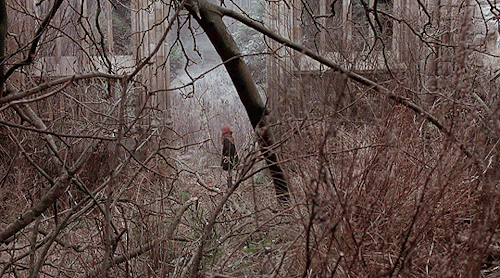reedakas:The Secret Garden (1993) dir. Agnieszka Holland