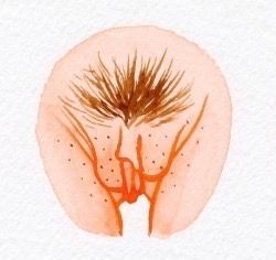the420housewife:  https://www.thevulvagallery.com