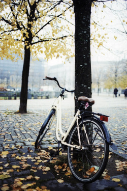 r2&ndash;d2:  Autumn bicycle in Copenhagen by (The Hamster Factor) 