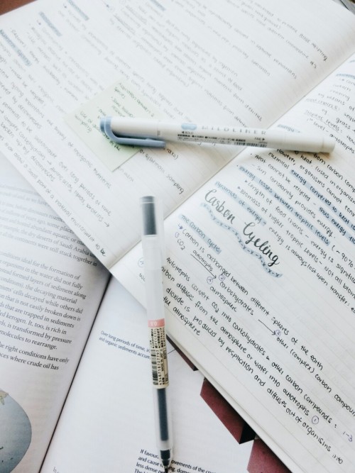 etudiaire:04.24.16last week before IB exams - time to seriously step up my game, let’s do this! ~