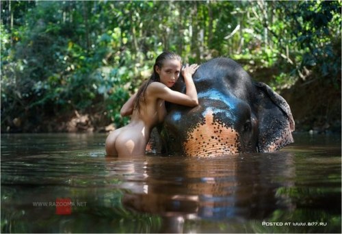 butt-wait:  http://butt-wait.tumblr.com/ 