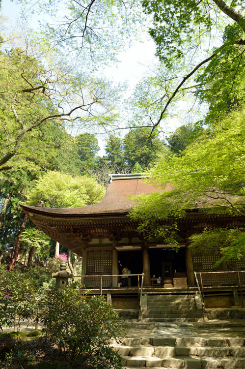 20150425 Murouji 1 by Bong GritVia Flickr:***** RAW developed *****女人高野の室生寺に行ってきました。新緑が目にも鮮やか。@Murou