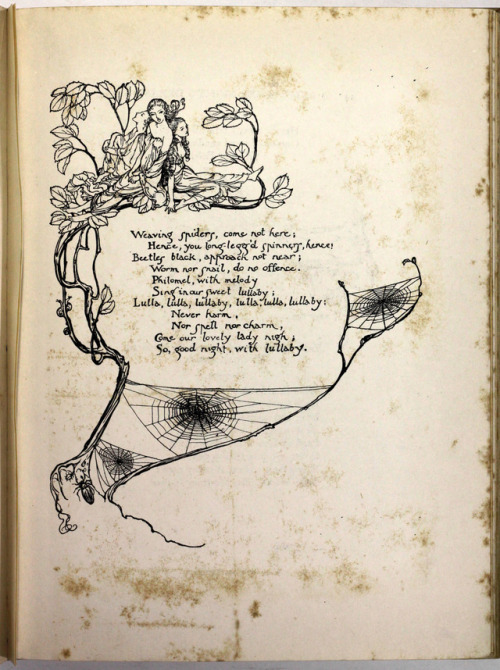 michaelmoonsbookshop:A Midsummer Night’s Dream William ShakespeareIllustration by Arthur Rackh
