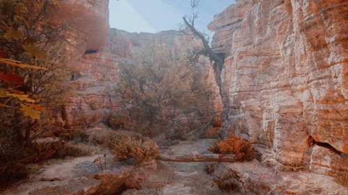 Assassins Creed: Mirage(2023) |Scenery Appreciation (vol. 2-?)