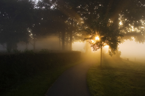 jacindaelena:     Leendert Buteijn