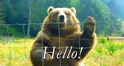 WHEN YGO CHARACTERS ARE GREETING  YOU