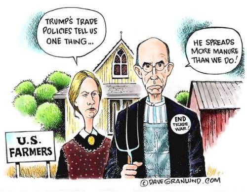 cartoonpolitics: (cartoon by Dave Granlund) Trump tariffs and trade policies is hurting American far