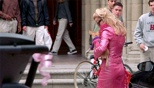 emilyblunts:I’ll show you how valuable Elle Woods can be.Legally Blonde (2001)