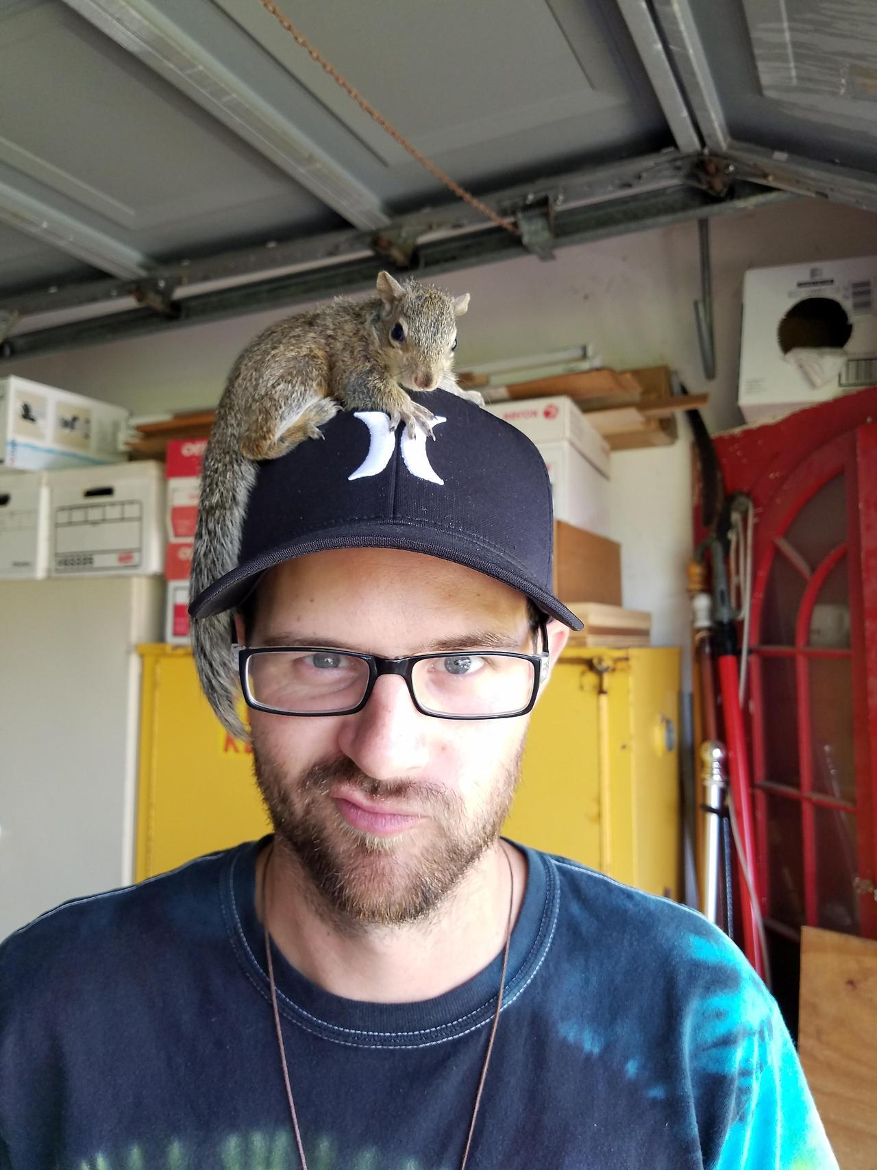 awwww-cute:  The day after Hurricane Irma, this baby squirrel ran straight up to