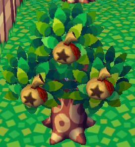 instantcupramen:  buttermilkqueen:  money dont grow on trees   u sure 