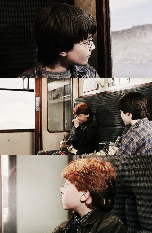 ohcedric:the beginning of a long journey