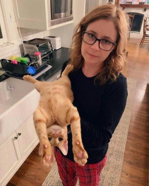 Photoshop Battles: Jenna Fischer and her cat | sources