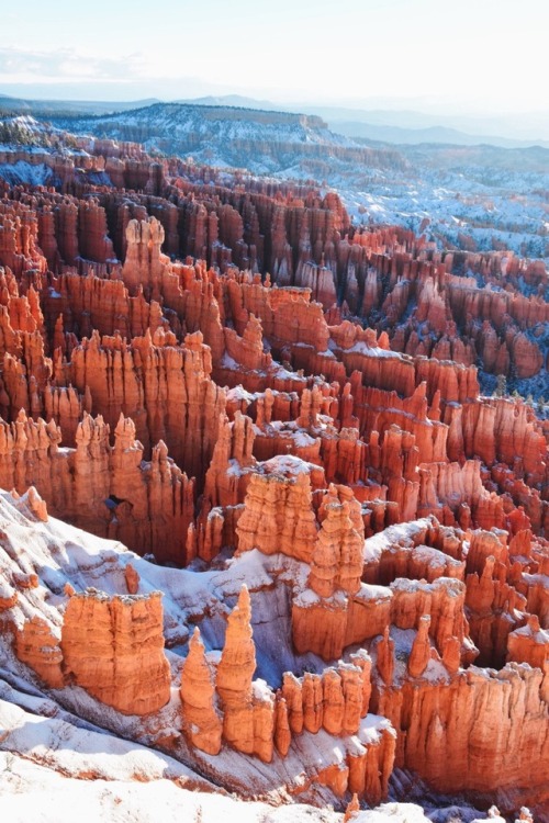 A snowy Bryce Canyon sunrise. @zeisenhauer