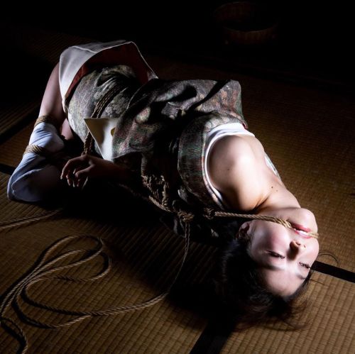 mai8chan:    Shibari Naka AkiraModel Miori