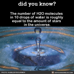 did-you-kno:  The number of H2O molecules in 10 drops of water is roughly equal to the amount of stars in the universe.  Source 