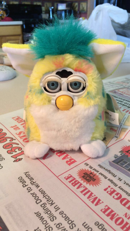huckleberry-furb:Funfetti had too much cake and is now officially The Fattest™ Furby I have ev