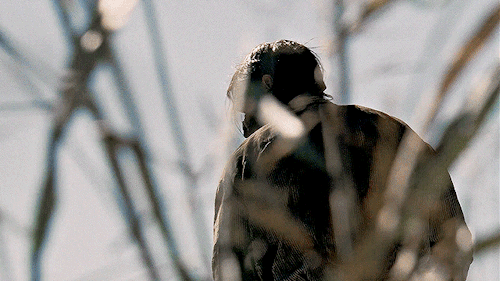 Free Leatherface/thomas Hewitt Mobile Headers!