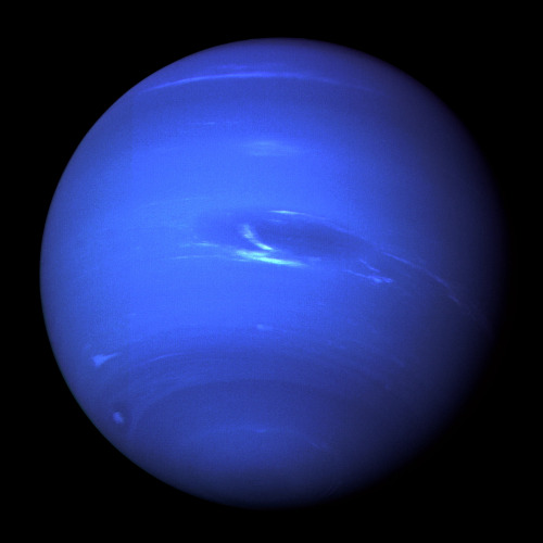   NeptunusNeptune(Fons Imaginis.)