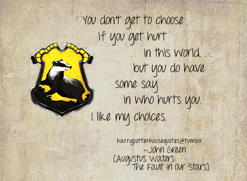 Harry Potter House Quotes