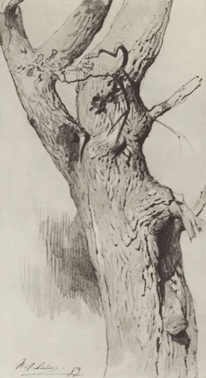 The trunk of an old tree, 1883, Isaac LevitanMedium: pencil,paper