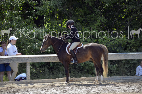 horseshowphotography:How to re-bridle your pony mid courseParish Ridge Trillium 2015