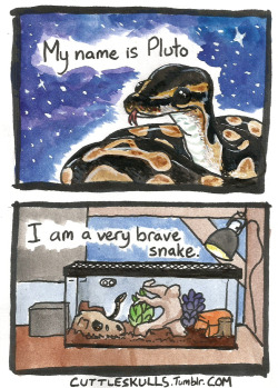 cuttleskulls:  A comic for my very brave little noodle who doesn’t ball up when he’s scared.Inspired by all other snake comics ever. May we join forces and flood the world with slitherdorks.