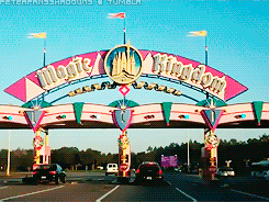  Welcome to Walt Disney World, where dreams