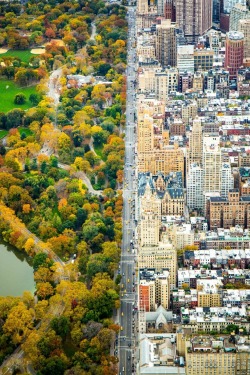 viralthings:  Two worlds divided in New York. 