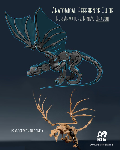 I’m working on anatomical reference guides for each of the A9RIG figures. Here’s one for the new A9-