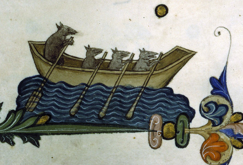 Rowing Rats Association Pontifical of Guillaume Durand, Avignon, before 1390.Paris, Bibliothèque Sai