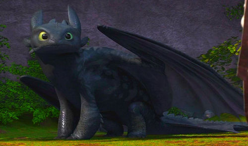 weirdunicorn:  d-dinosaur:  bundleoftrolls:  easterbunnymundlover:  I did some screencaps of Toothless’ markings.  never knew he had markings…  id like to think he had them cause he was younger/juvenile in the first movie :0 kind of like a deer or