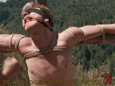 Ripnstrip's Domain (NSFW 18+ Only) )